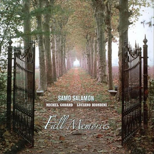 Fall Memories - Samo Salamon