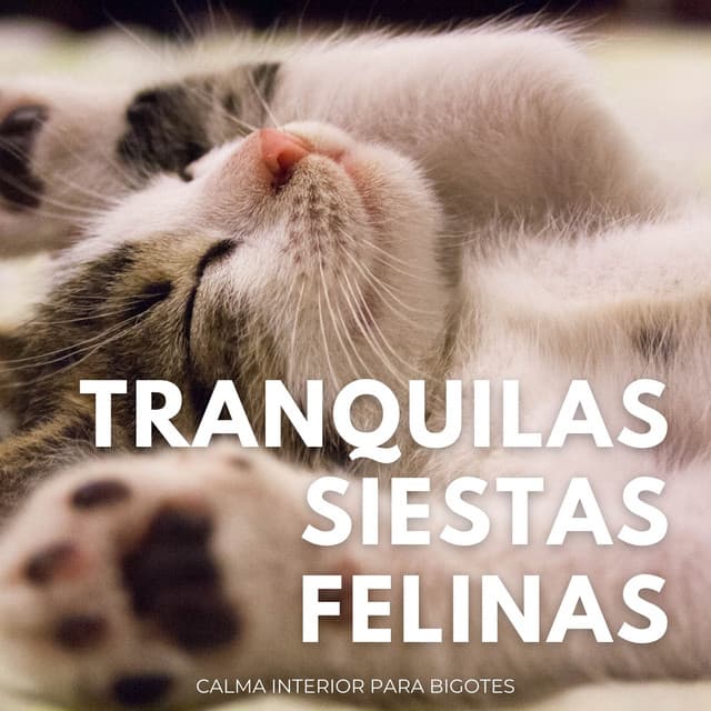 Tranquilas Siestas Felinas: Calma Interior Para Bigotes - Grillos Cantantes