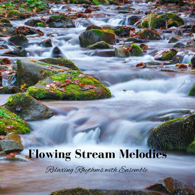 Flowing Stream Melodies: Relaxing Rhythms with Ensemble - Kara Lord