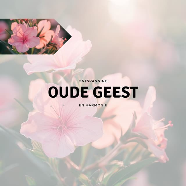 Oude Geest - Ontspanning en Harmonie