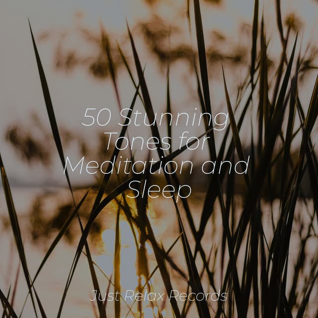 50 Stunning Tones for Meditation and Sleep - Música ambiental relajante