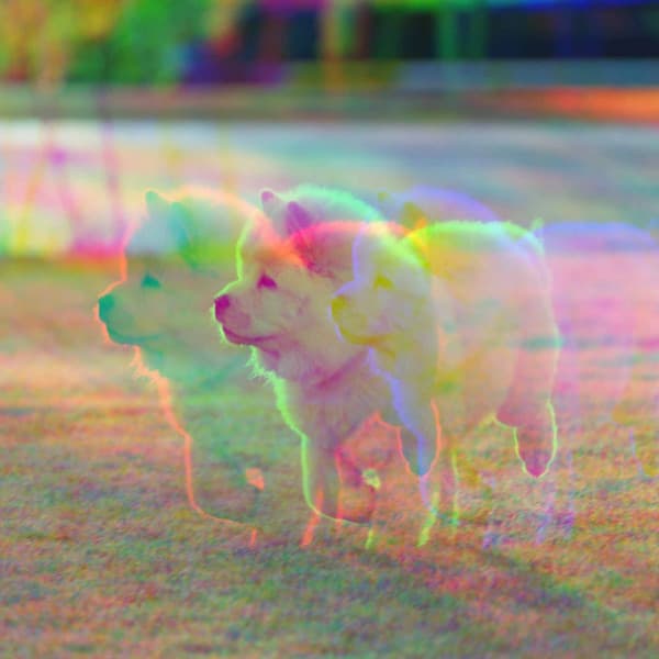 Tranquil Jazz Guitar - Bgm for Doggy Radio - Doggy Music Radio