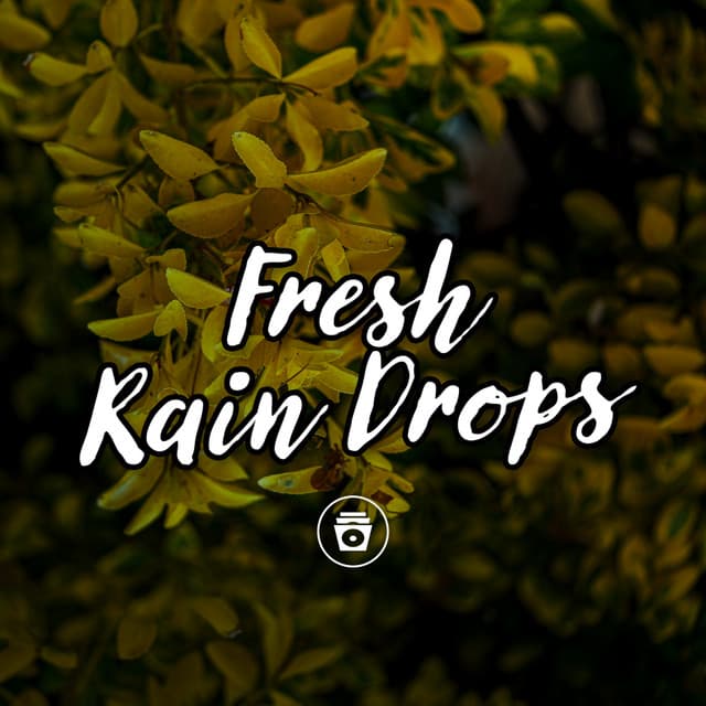 Fresh Rain Drops - Rain Sounds