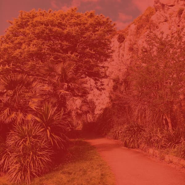 Cultured Ambiance for Taking Notes - Easy Listening Soft Jazz