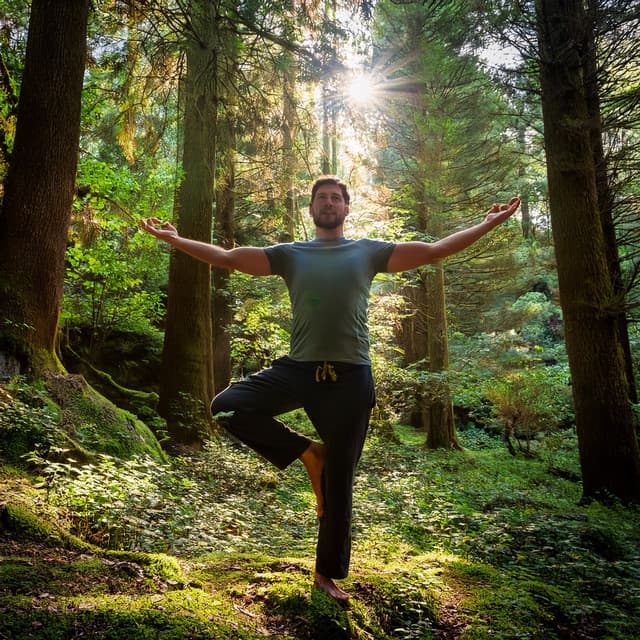 Music For Meditation And The Peaceful Journey Within - Meditation King