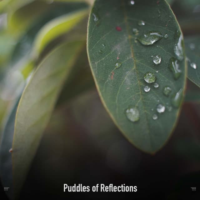 !!!!" Puddles of Reflections "!!!! - Sonidos De Truenos y Lluvia