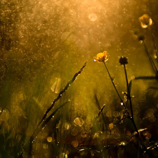 Cosmic Cradle: Chill Music Rain Sleep Aid - Silver Blue Moon