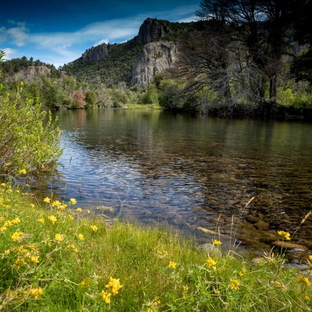 Aquatic Serenity: Relaxing Music Water - Calm Waves Water
