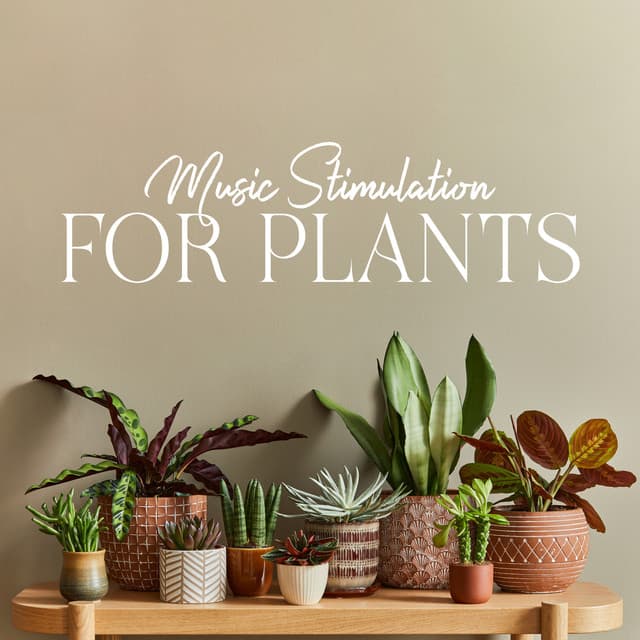Music Stimulation for Plants - Nikitovich