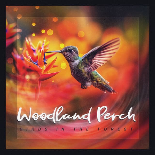 Woodland Perch - Birds In The Forest