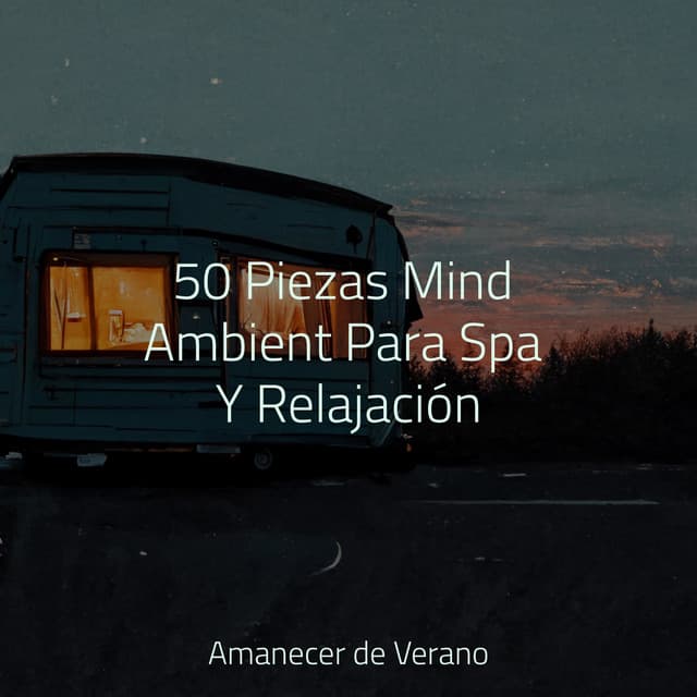 50 Piezas Mind Ambient Para Spa Y Relajación - Meditación Maestro