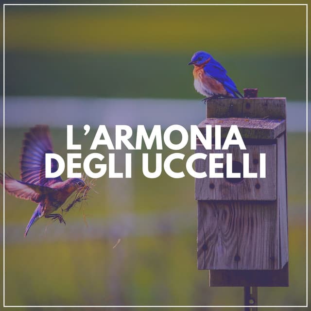 L'armonia Degli Uccelli - Suoni Naturali