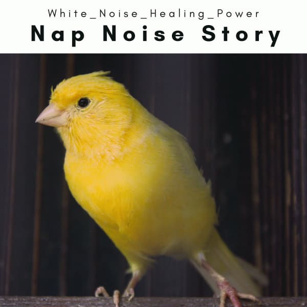 1 Nap Noise Story - White Noise Healing Power