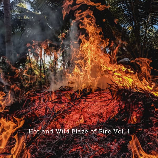 Hot and Wild Blaze of Fire Vol. 1 - Dog Radio 1