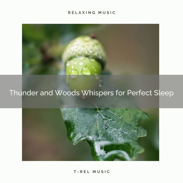 Thunder and Woods Whispers for Perfect Sleep - Wave Sounds For Sleep