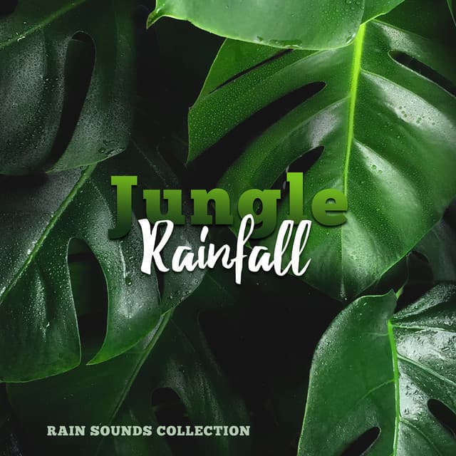 Jungle Rainfall - Rain Sounds Collection