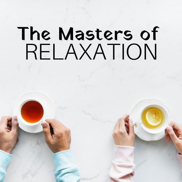 The Masters of Relaxation - Area Zen