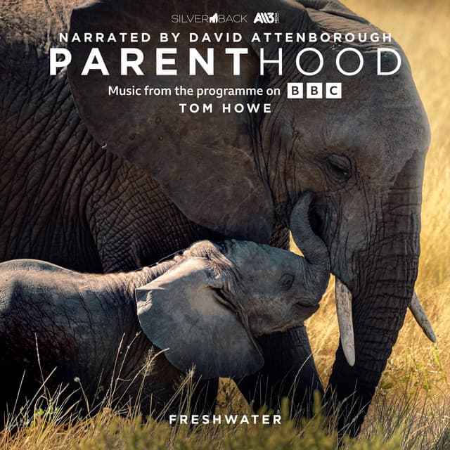 Parenthood: Freshwater - Tom Howe