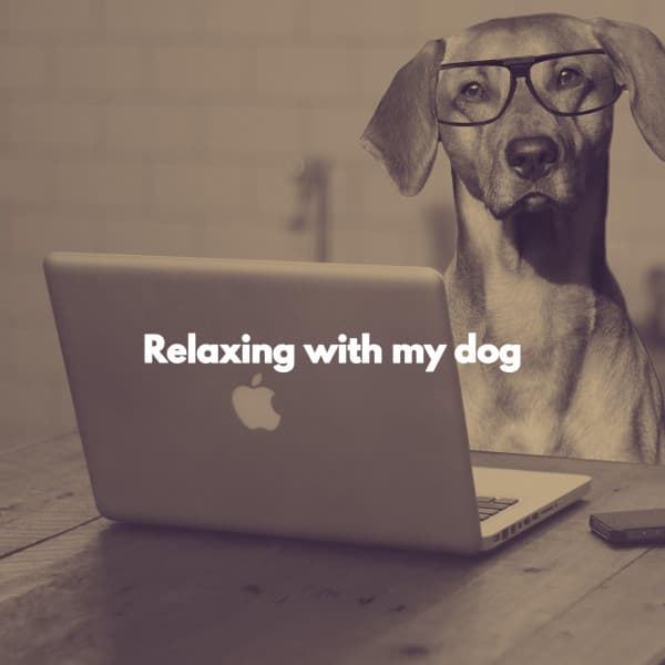 Relaxing with my dog - Cool Jazz Moods