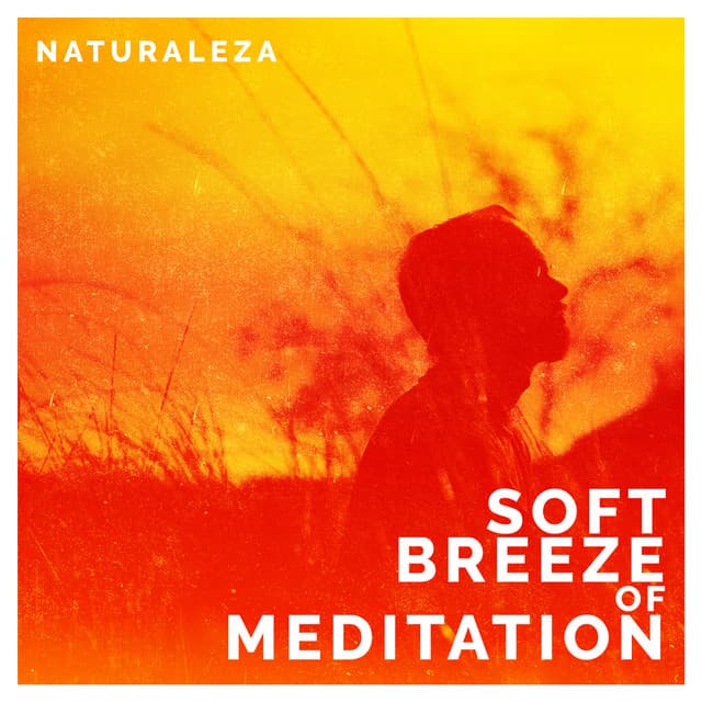 Soft Breeze of Meditation - Naturaleza