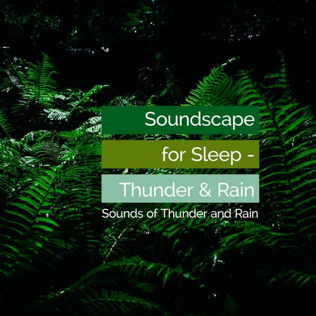 Soundscape for Sleep - Thunder & Rain - Sounds of Thunder and Rain