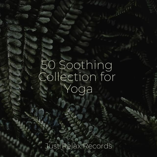 50 Soothing Collection for Yoga - Relaxamento