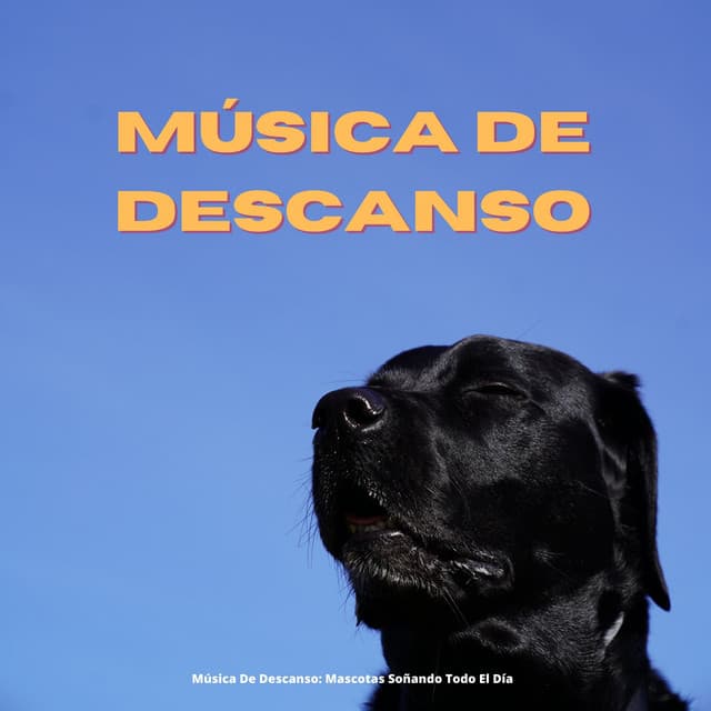 Música De Descanso: Mascotas Soñando Todo El Día - Música Tranquila