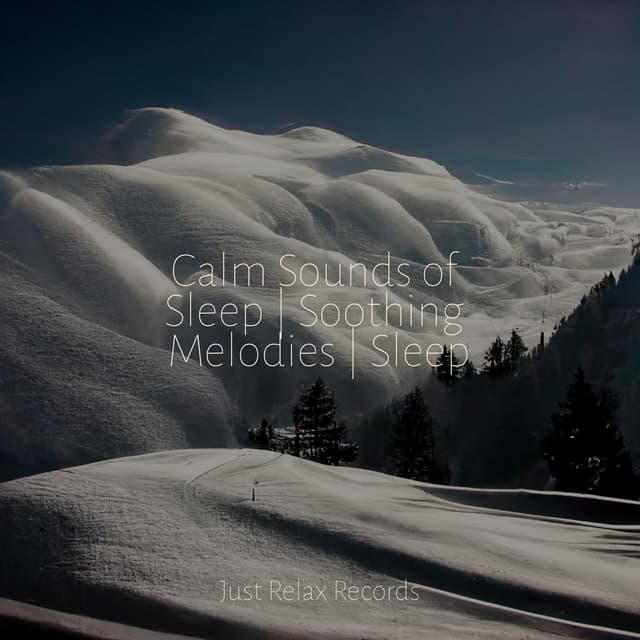 Calm Sounds of Sleep | Soothing Melodies | Sleep - Musica Relajante