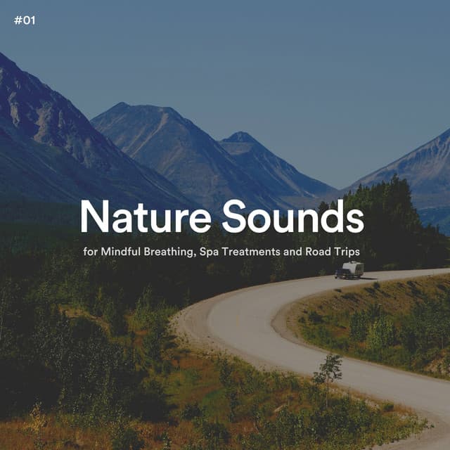 #01 Nature Sounds for Mindful Breathing, Spa Treatments and Road Trips - The Nature Soundscapes