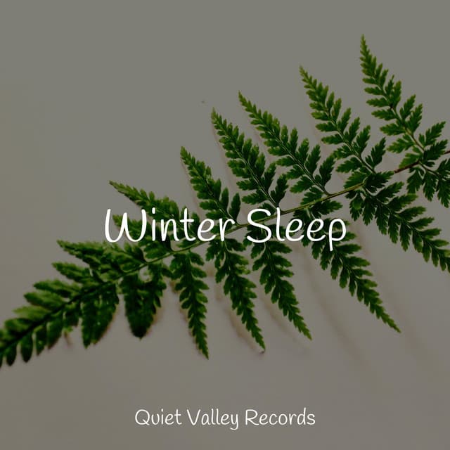 Winter Sleep - The Rain Library