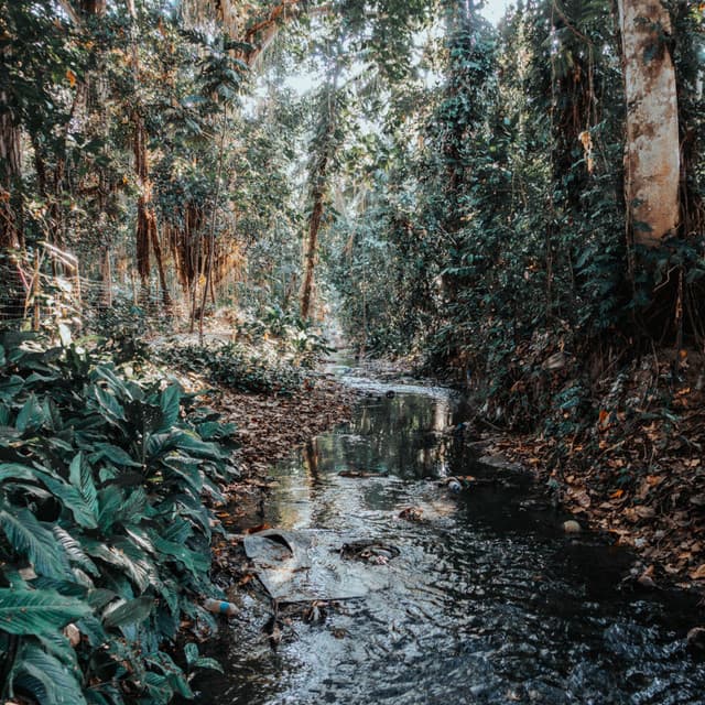 Relaxing Music: Rhythms of Watery Asanas - Music for Stress Relief