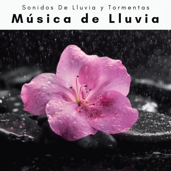 1 Música de Lluvia - Sonidos De Lluvia y Tormentas