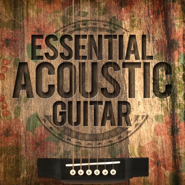 Essential Acoustic Guitar - Guitar Masters