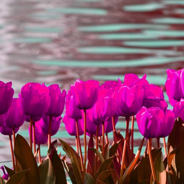 Cultivated Background for Intellectual Steps - Smoothe Sounds