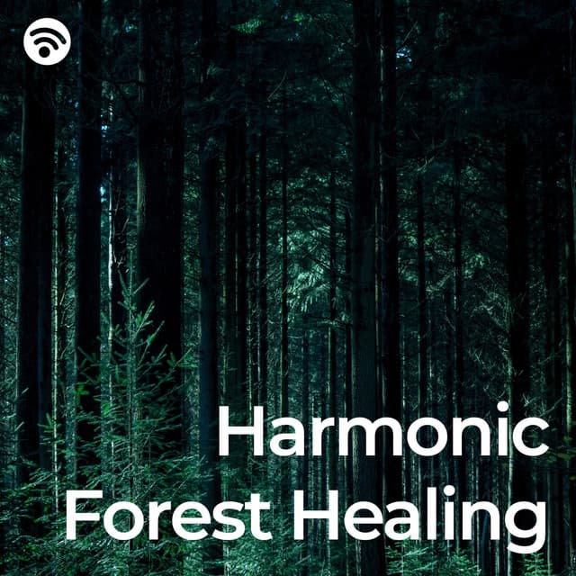Harmonic Forest Healing - Milo Heart