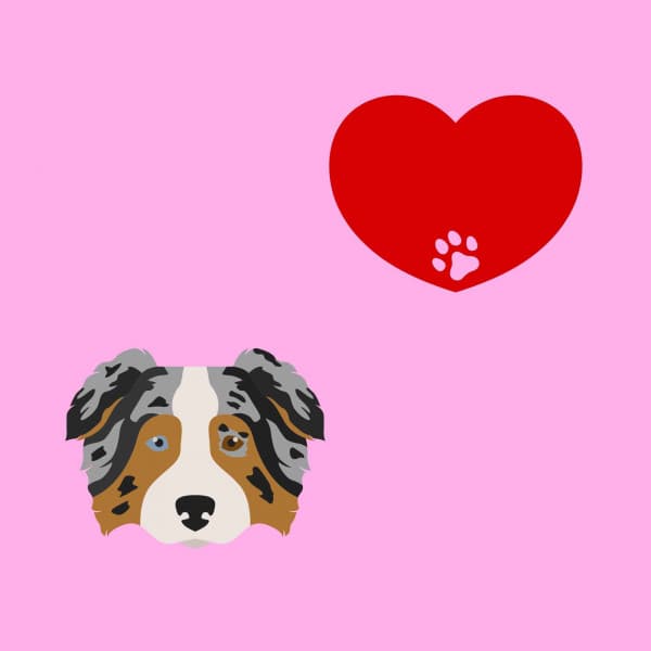 Subdued Jazz Violin - Background for Doggy and Lullaby - Puppy Sleeping Sounds