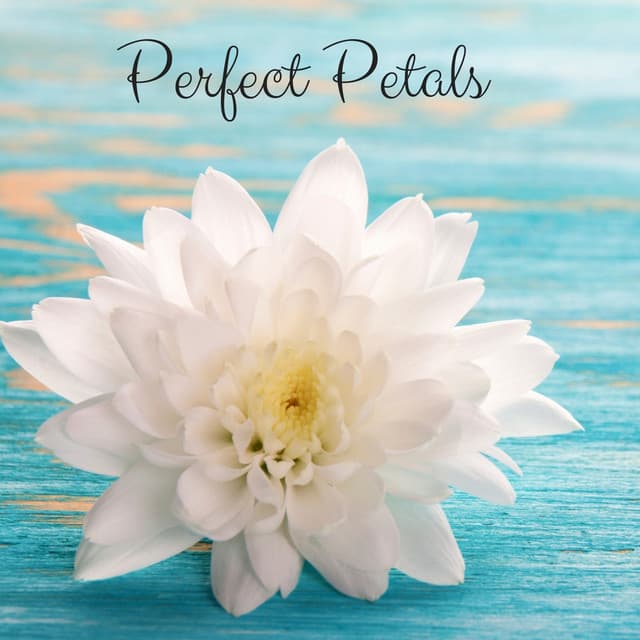 Perfect Petals - Rain Sound Plus