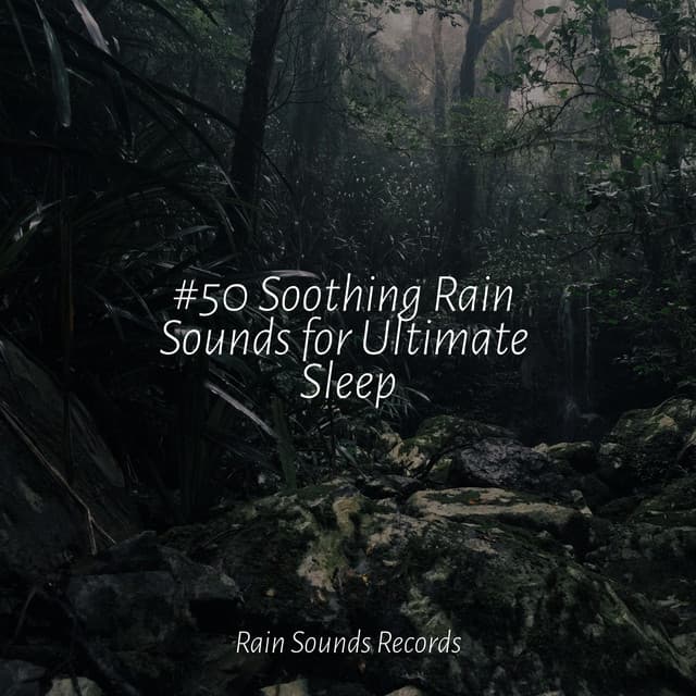 #50 Soothing Rain Sounds for Ultimate Sleep - Ocean Waves For Sleep