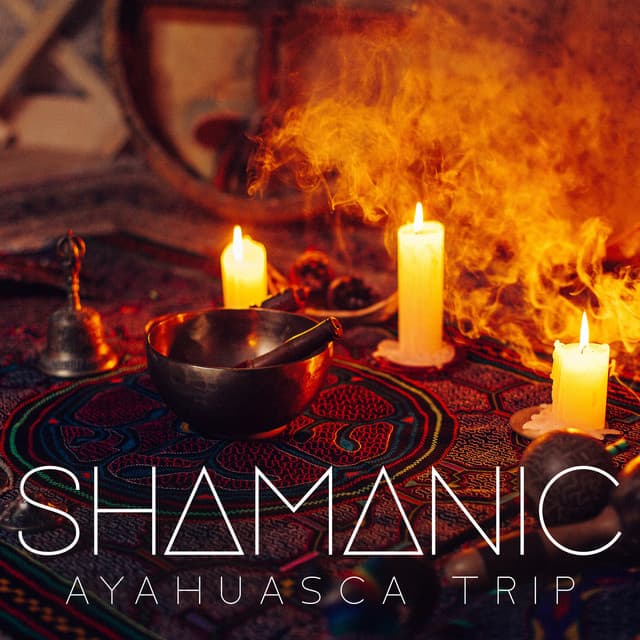 Shamanic Ayahuasca Trip - Jim Sieber