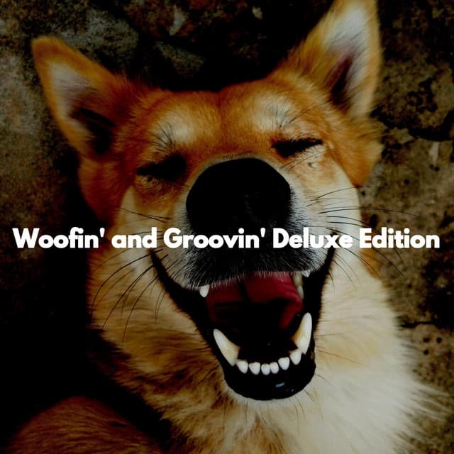 Woofin' and Groovin' Deluxe Edition - Productivity Music