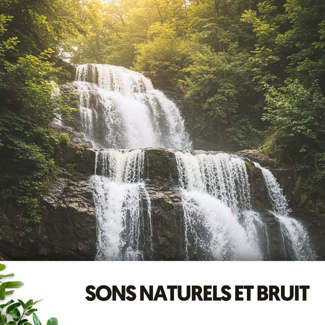Sons Naturels et Bruit : Sérénades et Eau - Relajacion