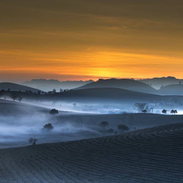 Serene and Soothing / Deep Meditation, Easy Sleep Music, Nature's Wonders - Nature Sounds