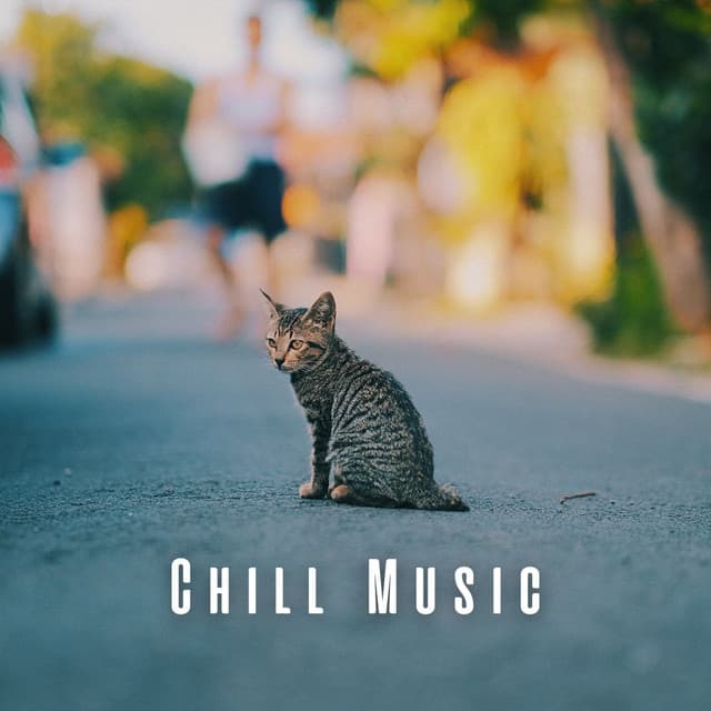 Chill Music: The Cats' Comfort Zone - Morning Chill Out Playlist