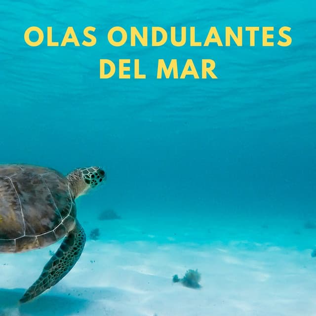 Olas Ondulantes Del Mar - Reina del Mar