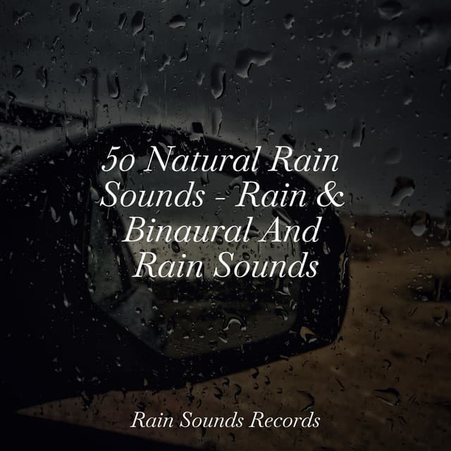 50 Natural Rain Sounds - Rain & Binaural And Rain Sounds - Nature Sound Collection