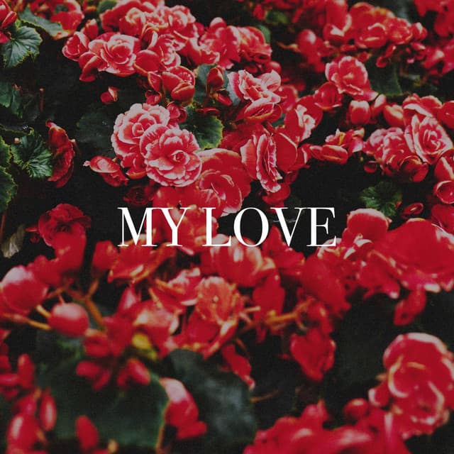 My Love - Top 40 Hits