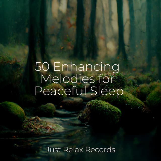 50 Enhancing Melodies for Peaceful Sleep - kinderliedjes