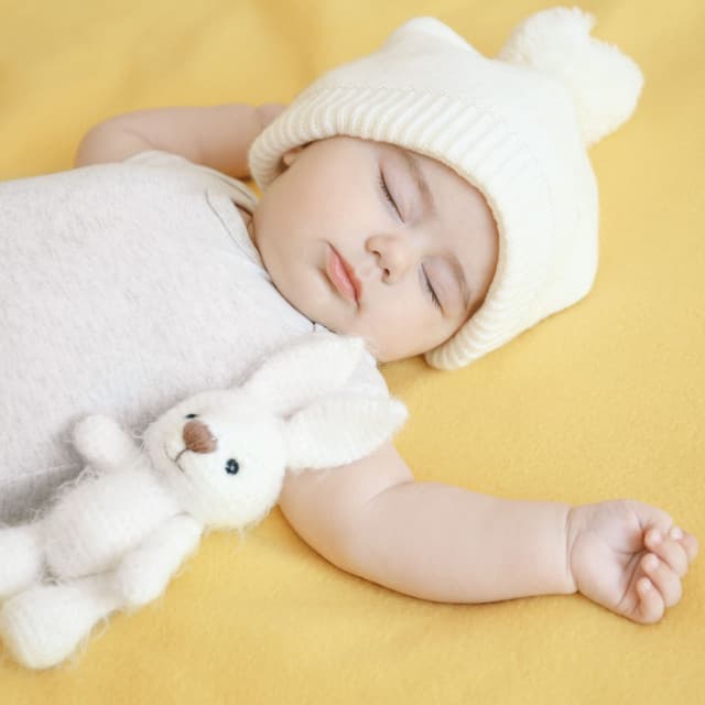 Dreamland Hush: Baby Lullaby Wonderscape - Sleep Please