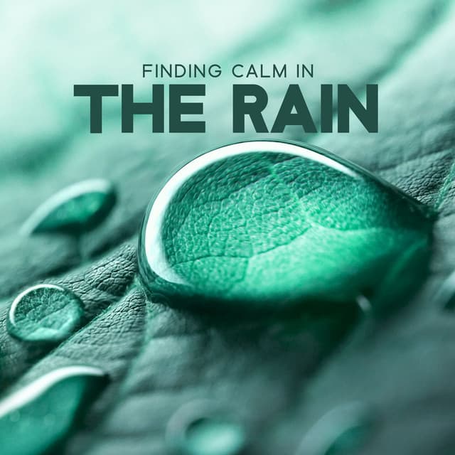 Finding Calm in the Rain: Soothing Piano Music and Rain Sounds for Meditation & Healing - Healing Rain Sound Academy
