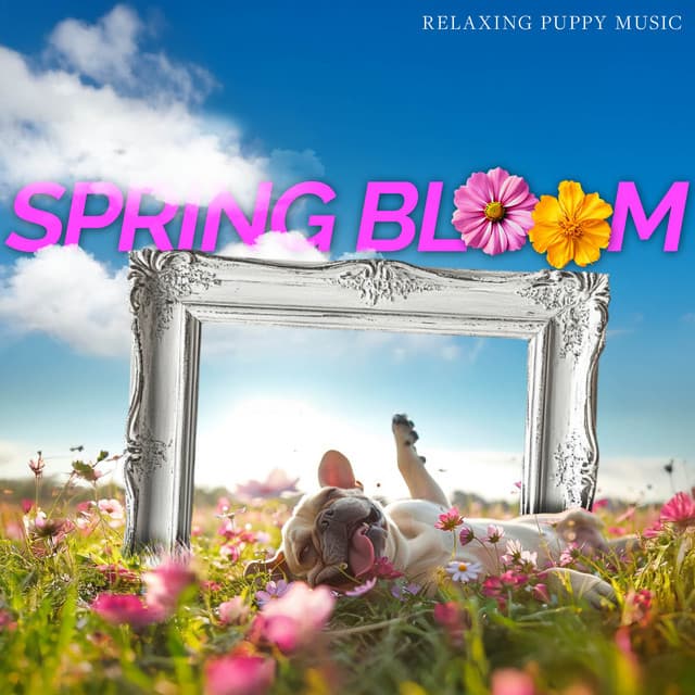 Spring Bloom - Relaxing Puppy Music